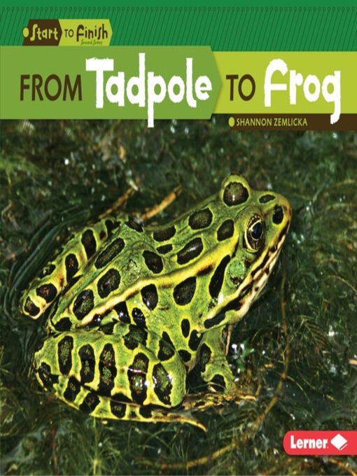 Title details for From Tadpole to Frog by Shannon Zemlicka - Available